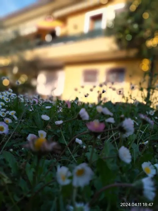 Appartamento Casa Gialla Quartiere Tranquillo A Padova Vicino Al Centro E Servizi